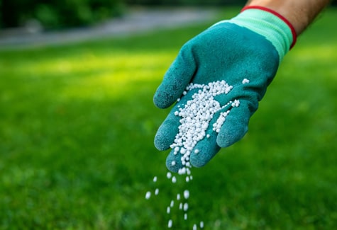 Greenwood, IN yard fertilization services for homes.