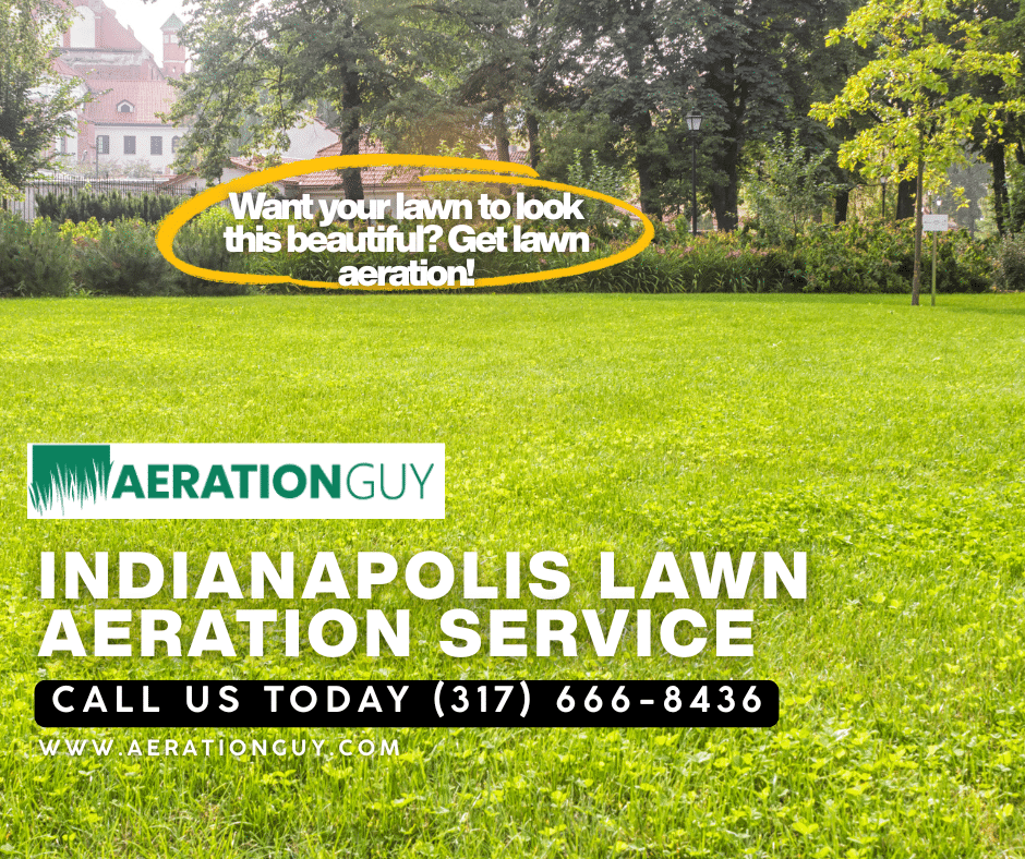 Lush green healthy lawn in Indianapolis showcasing the benefits of lawn aeration for Central Indiana homeowners.