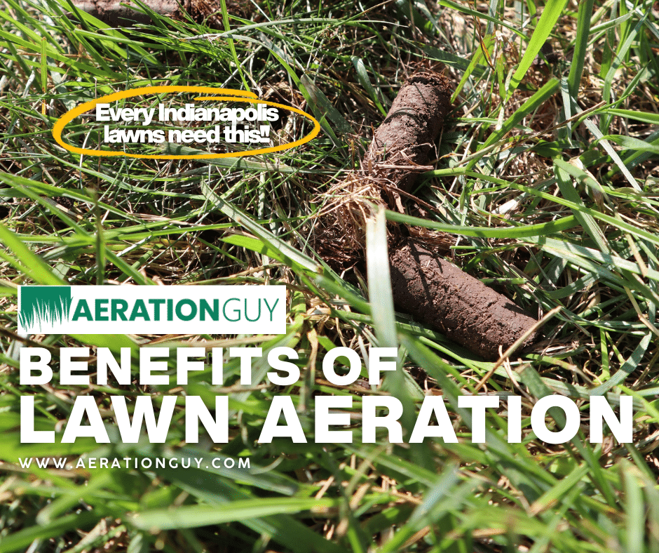 Benefits Of Lawn Aeration: Indy Lawns Definitely Needs This!