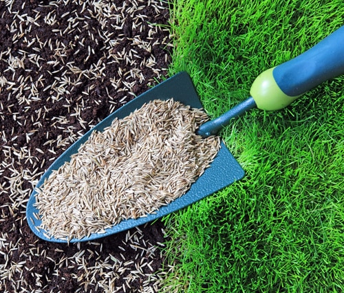 Slice seeding services for homes.