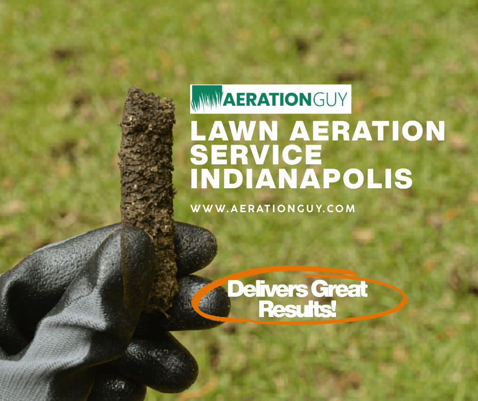 Lawn Aeration Service Indianapolis That Delivers Great Results