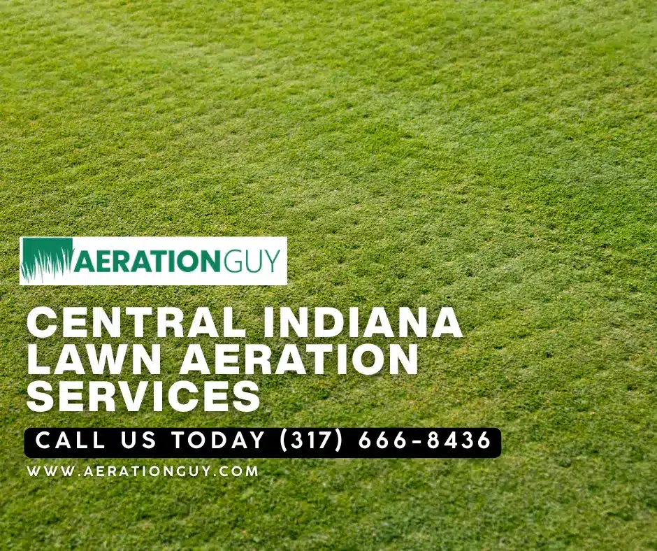 Freshly aerated Indianapolis lawn with soil plugs scattered across the grass after professional service from The Aeration Guy addressed the signs lawn needs aeration.