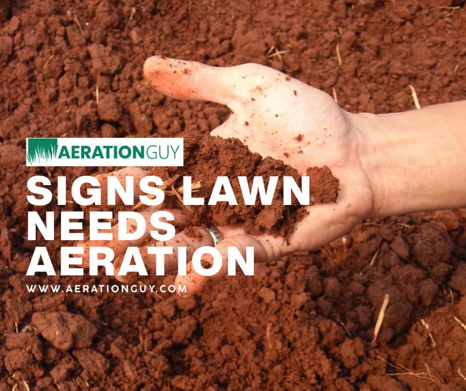Signs Lawn Needs Aeration: 5 Clues Your Indy Grass Is Suffocating