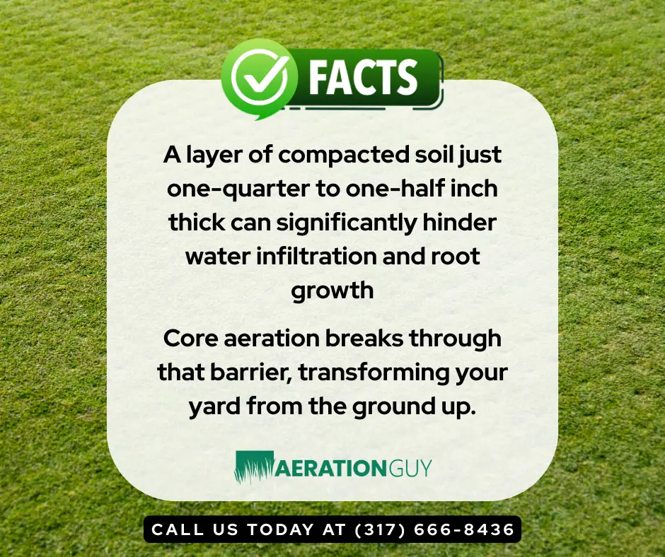 Soil plugs scattered across a lawn with a graphic showing a fun fact about compacted soil hindering grass growth, proving why lawn aeration Indianapolis services are essential.