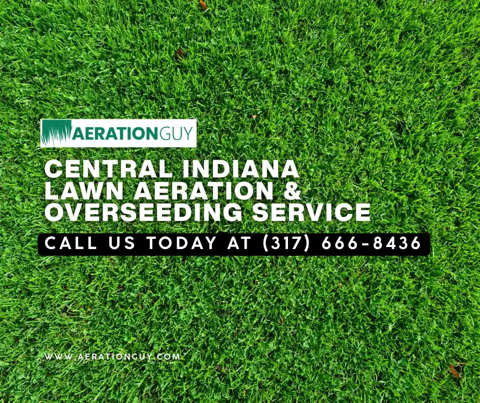 Lush residential lawn in Carmel maintained by the Aeration Guy's professional lawn seeding service serving Central Indiana..