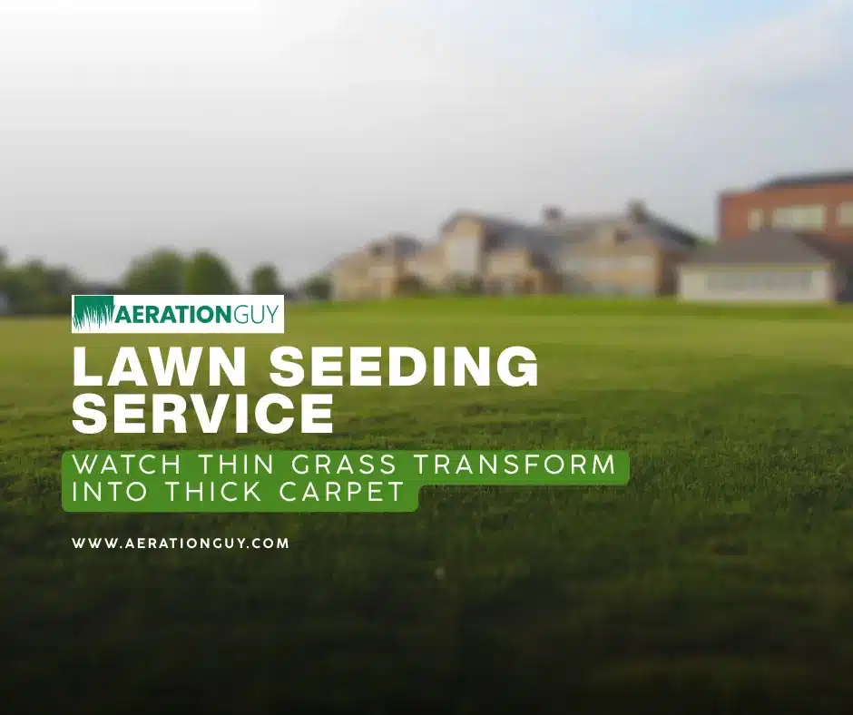 Vibrant green lawn in Carmel, Indiana demonstrating the quality results of a professional lawn seeding service by the Aeration Guy.