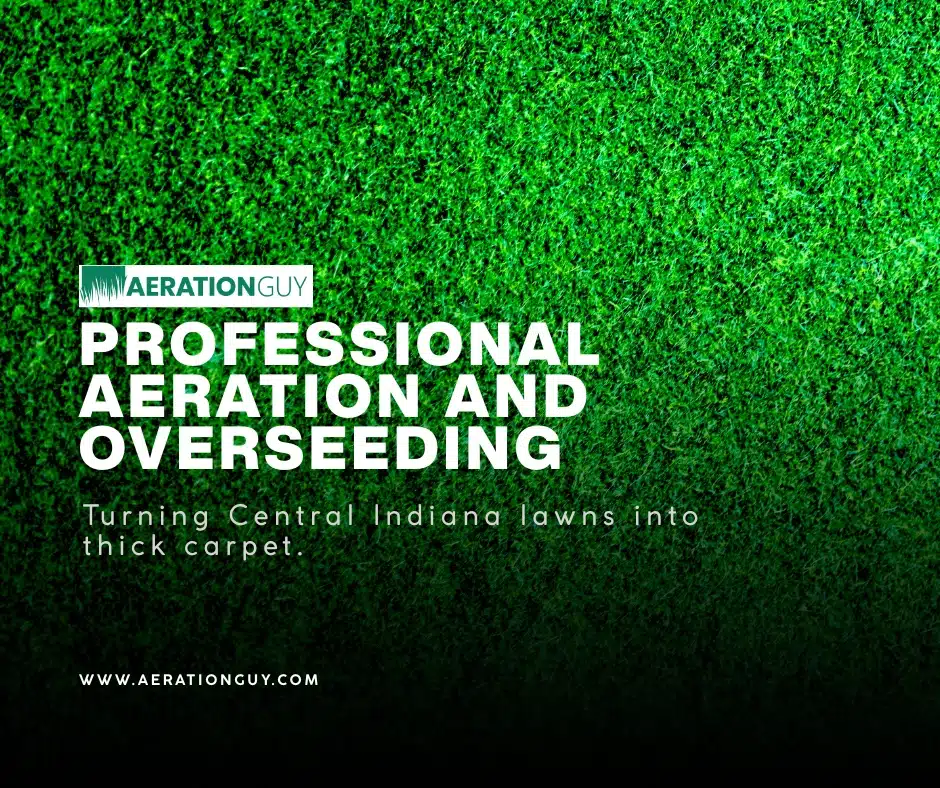 Lush green lawn in Carmel, Indiana, showcasing the results of Aeration Guy's professional aeration and overseeding for Central Indiana homeowners.