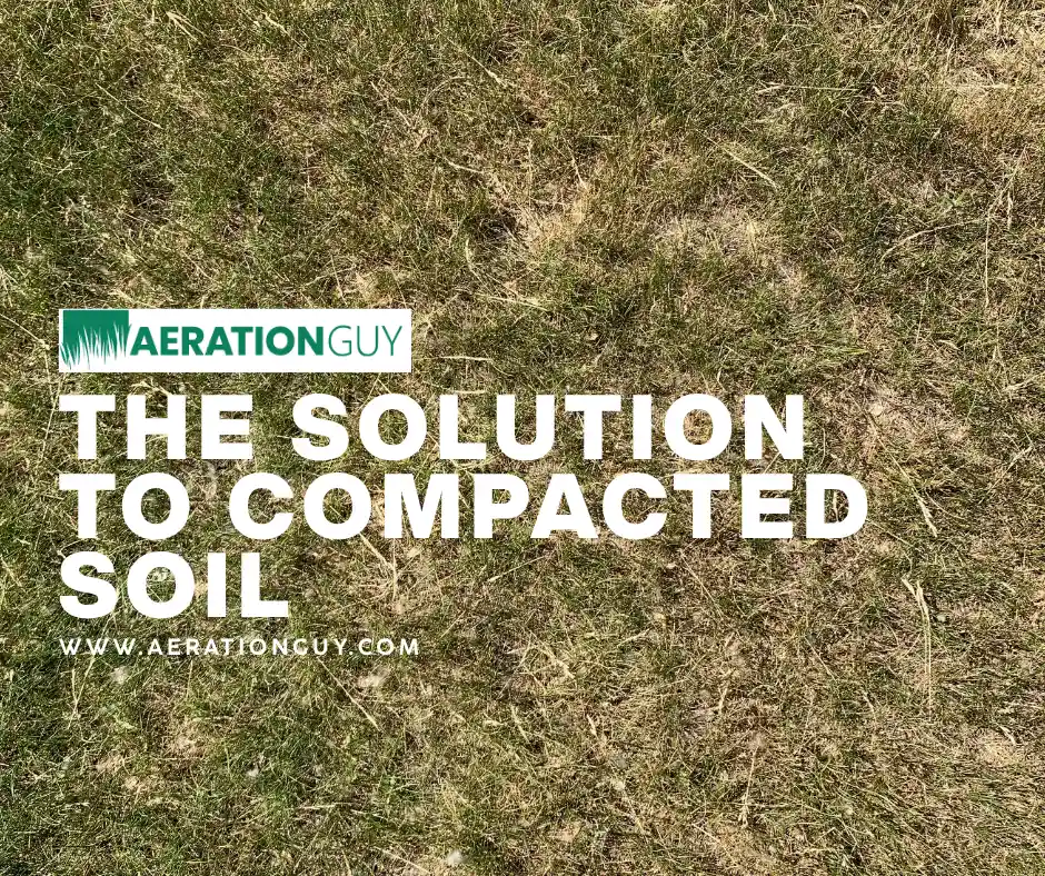The Aeration Guy technician on a Stinger Aerator pulling plugs from compacted Carmel soil, demonstrating the solution to compacted soil for Central Indiana lawns.