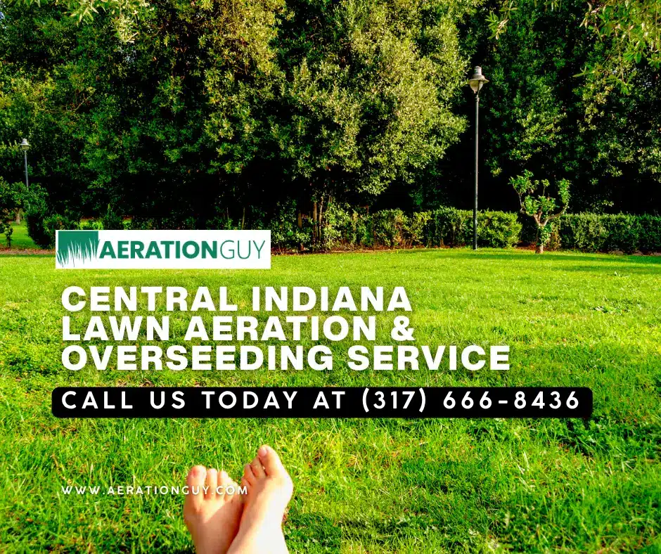 Lush healthy Indianapolis lawn showcasing the results of the aeration and overseeding process by the Aeration Guy for Central Indiana homeowners.