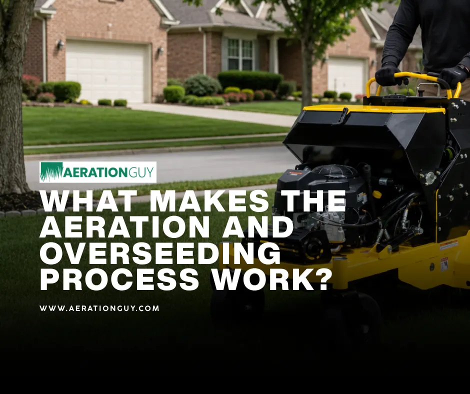 Professional operator from The Aeration Guy demonstrating the aeration and overseeding process on a residential lawn in Indianapolis.