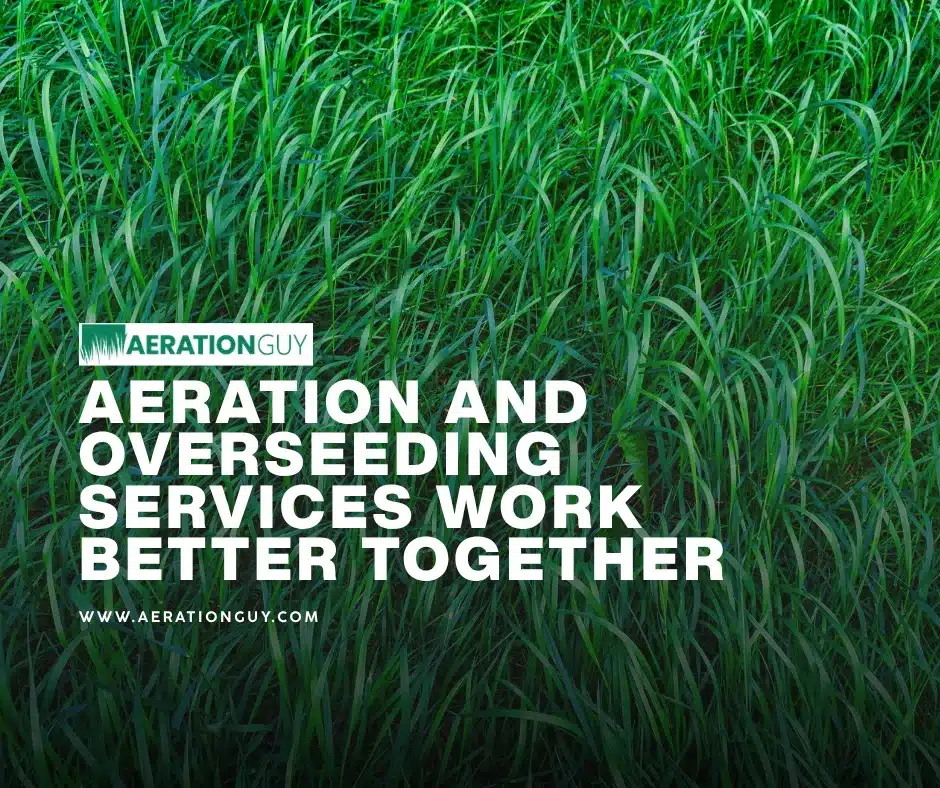 Lush healthy lawn in Indianapolis showcasing the results of aeration and overseeding services by the Aeration Guy for Central Indiana homeowners.