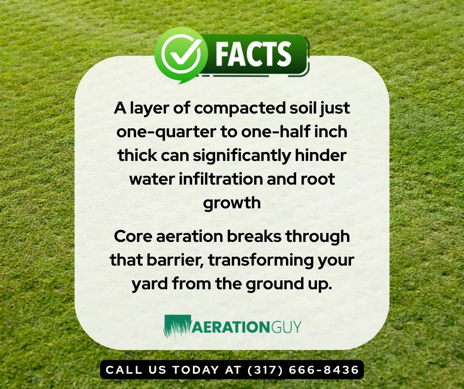 Visual infographic showing how professional lawn aeration service relieves soil compaction and allows nutrients to reach roots for Central Indiana lawns.